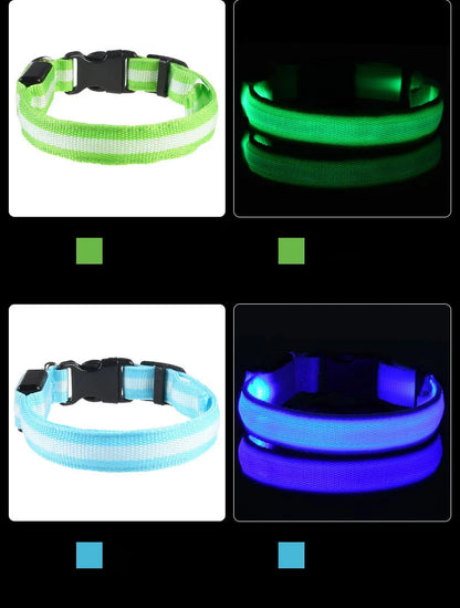 Nylon LED Glow in the Dark Dog Leash