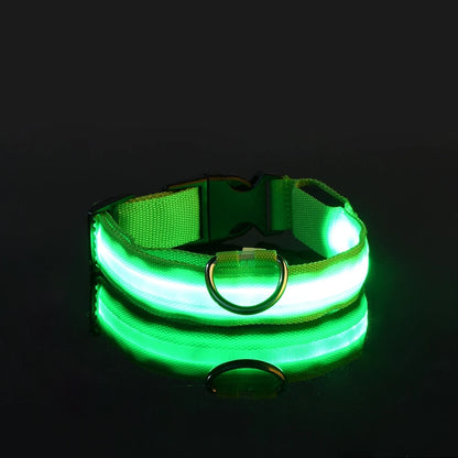 Nylon LED Glow in the Dark Dog Leash