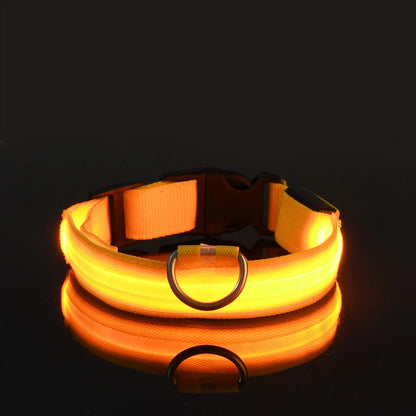 Nylon LED Glow in the Dark Dog Leash