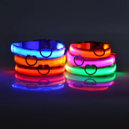 Nylon LED Glow in the Dark Dog Leash