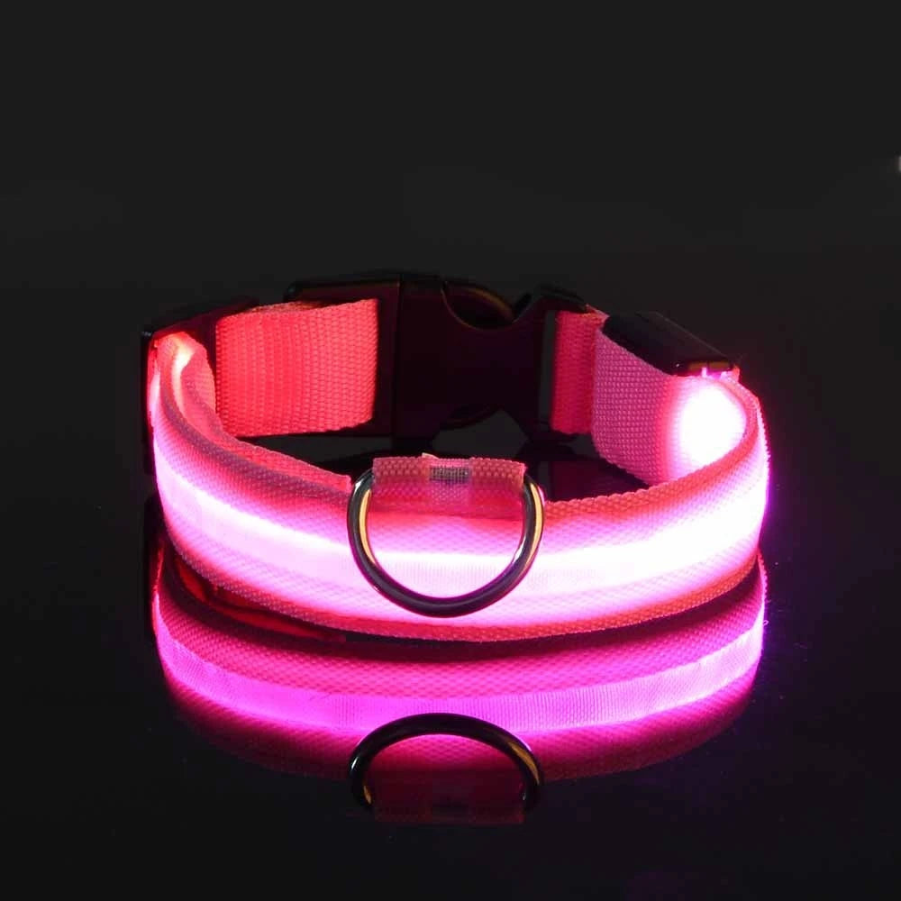 Nylon LED Glow in the Dark Dog Leash