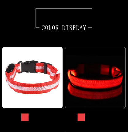 Nylon LED Glow in the Dark Dog Leash